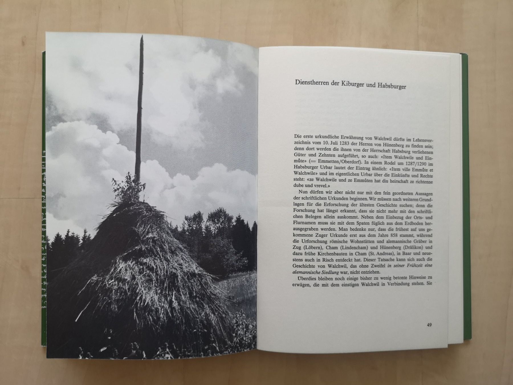 Livres: Walchwil - Eine Gemeindegeschichte – D'occasion à Zug par Sunshine_113 2