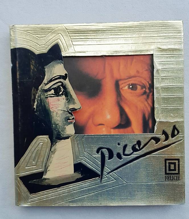 Libri: Picasso 'Felicie' – Usato da Samstagern venduto da Karibik64