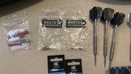 1 Paar Darts Gerwyn Price Brass Edition Neu inkl. Zubehör