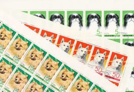 Nordkorea Bogenware Hunde 1977