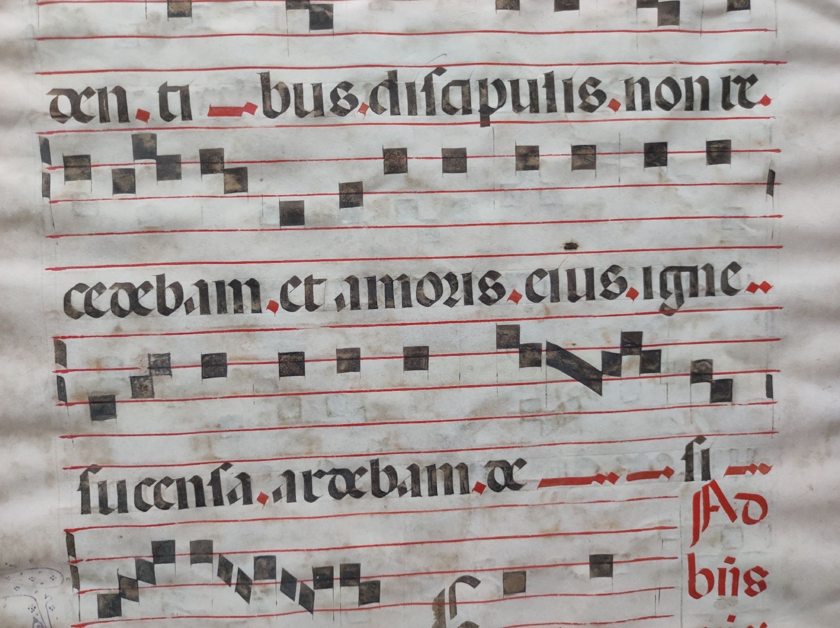Poster & Bilder: MANUSKRIPTE - ANTIPHONARIUM – Gebraucht aus Goldach von Gaip 1
