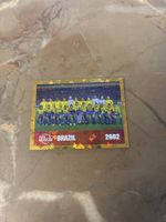 Panini Bild FWC16
