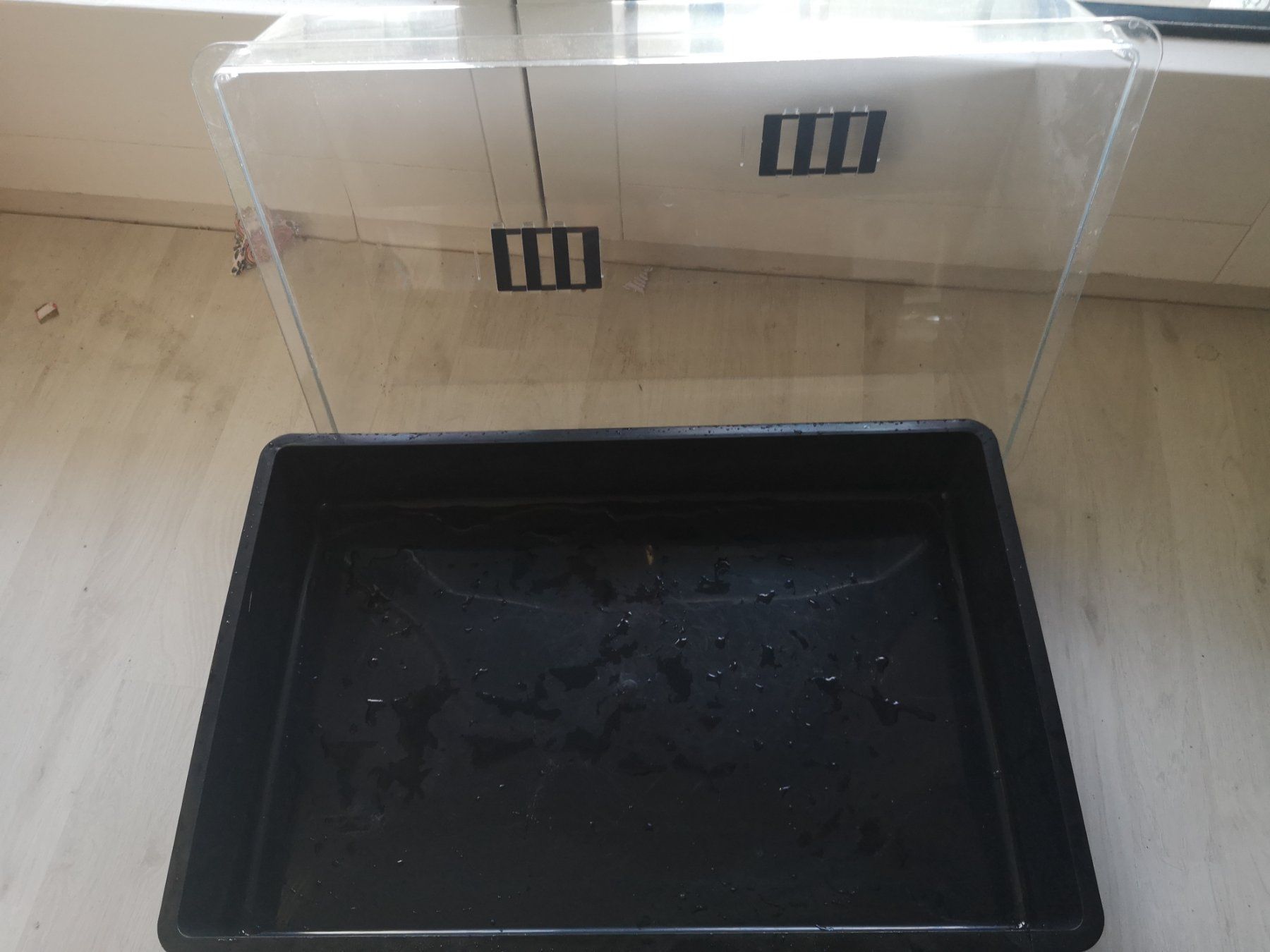 Growbox Altro: Zimmergewächshaus – Usato da Fehraltorf venduto da romanschwarz 2