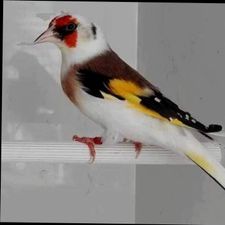 Profile image of gsx_htp5