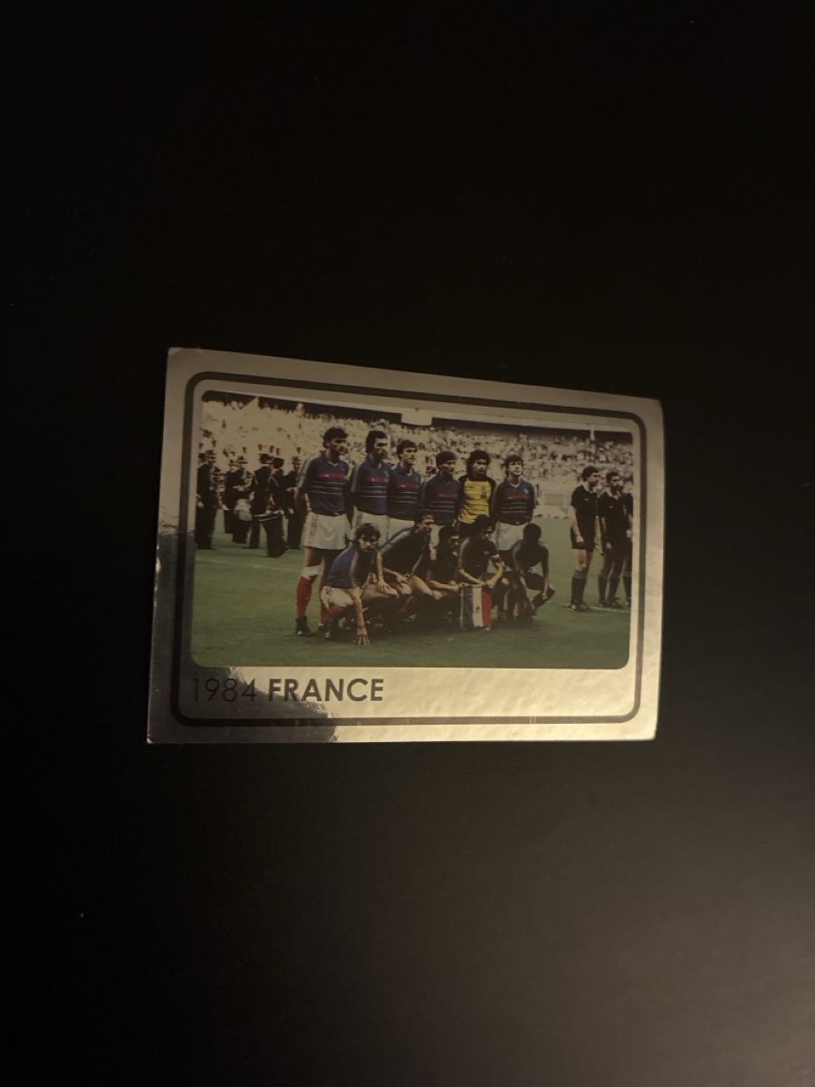 Panini Carte collezionabili: Panini UEFA 2006/2008 – Usato da Bern venduto da Matteooderso 1