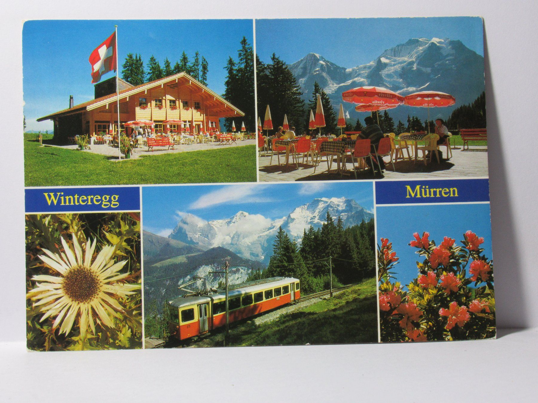Ansichtskarten: Restaurant Winteregg , Bergbahn  Mürren – Gebraucht aus Grenchen von Bluemchen1900 2
