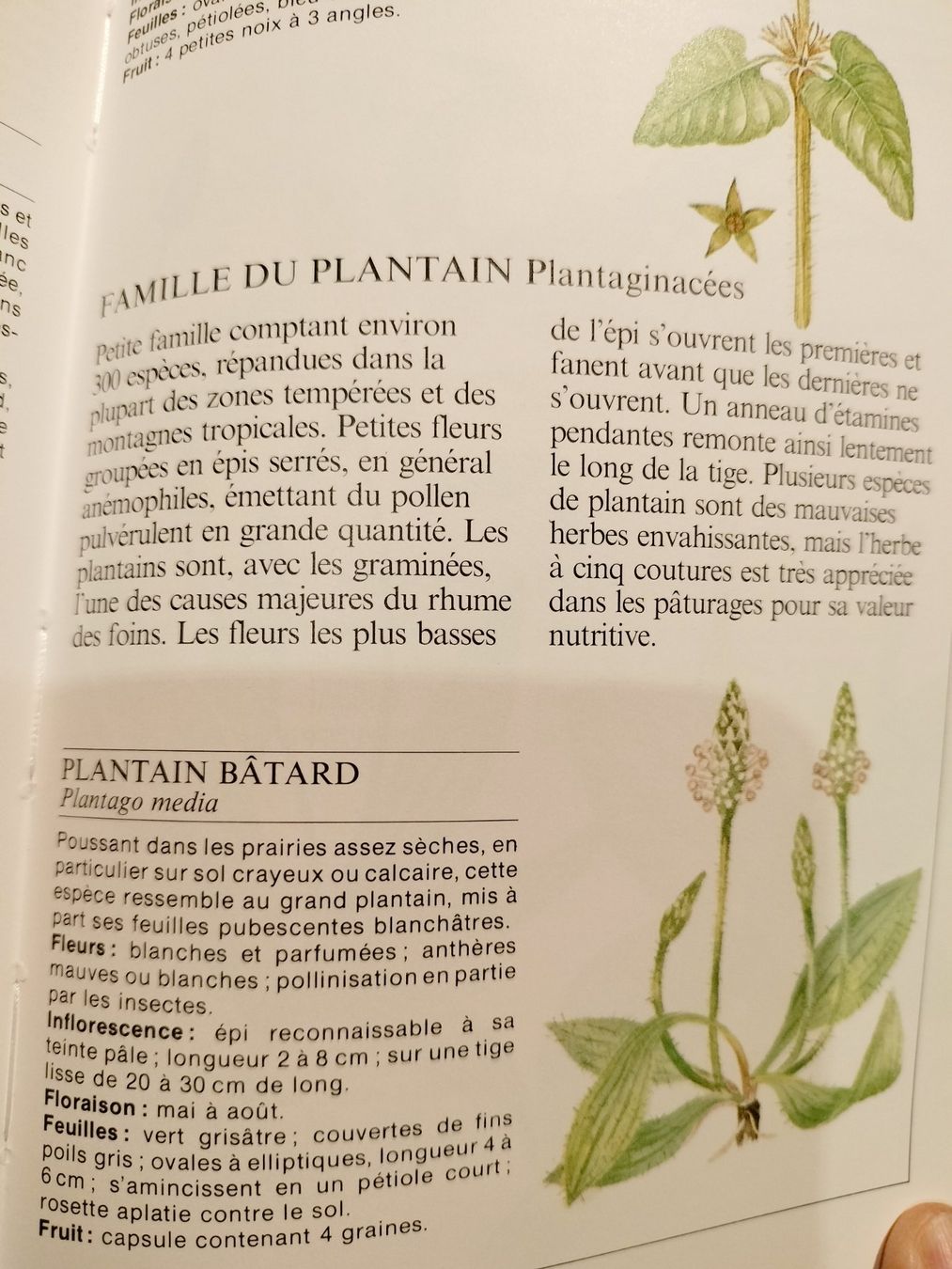 Libri: La vie des plantes – Usato da Cortaillod venduto da rozinna 6