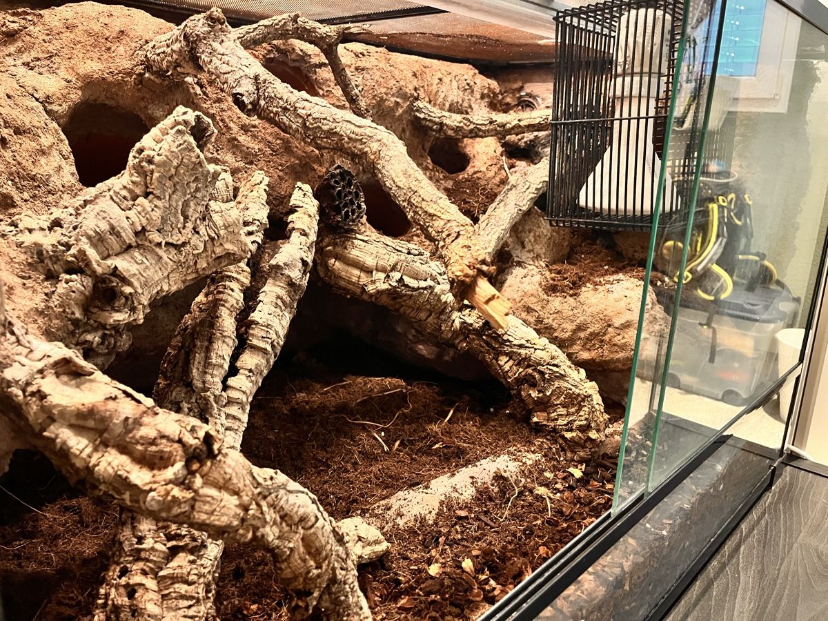 Terrario: Terrarium mit Zubehör – Usato da Birmensdorf ZH venduto da JuliaCrincoli 1