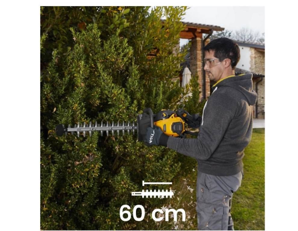 Alle Werkzeuge: Neue Heckenschere mit Benzinmotor.  – Gebraucht aus Schinznach-Bad von w.tischler 2