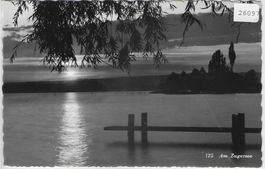 Am Zugersee