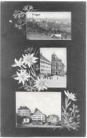Trogen Drei Bilder mit Edelweiss