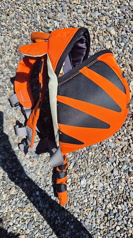 Borse & Zaini: LittleLife Tigger 2L Kinderrucksack – Usato da Münchwilen TG venduto da Sqyntz 1