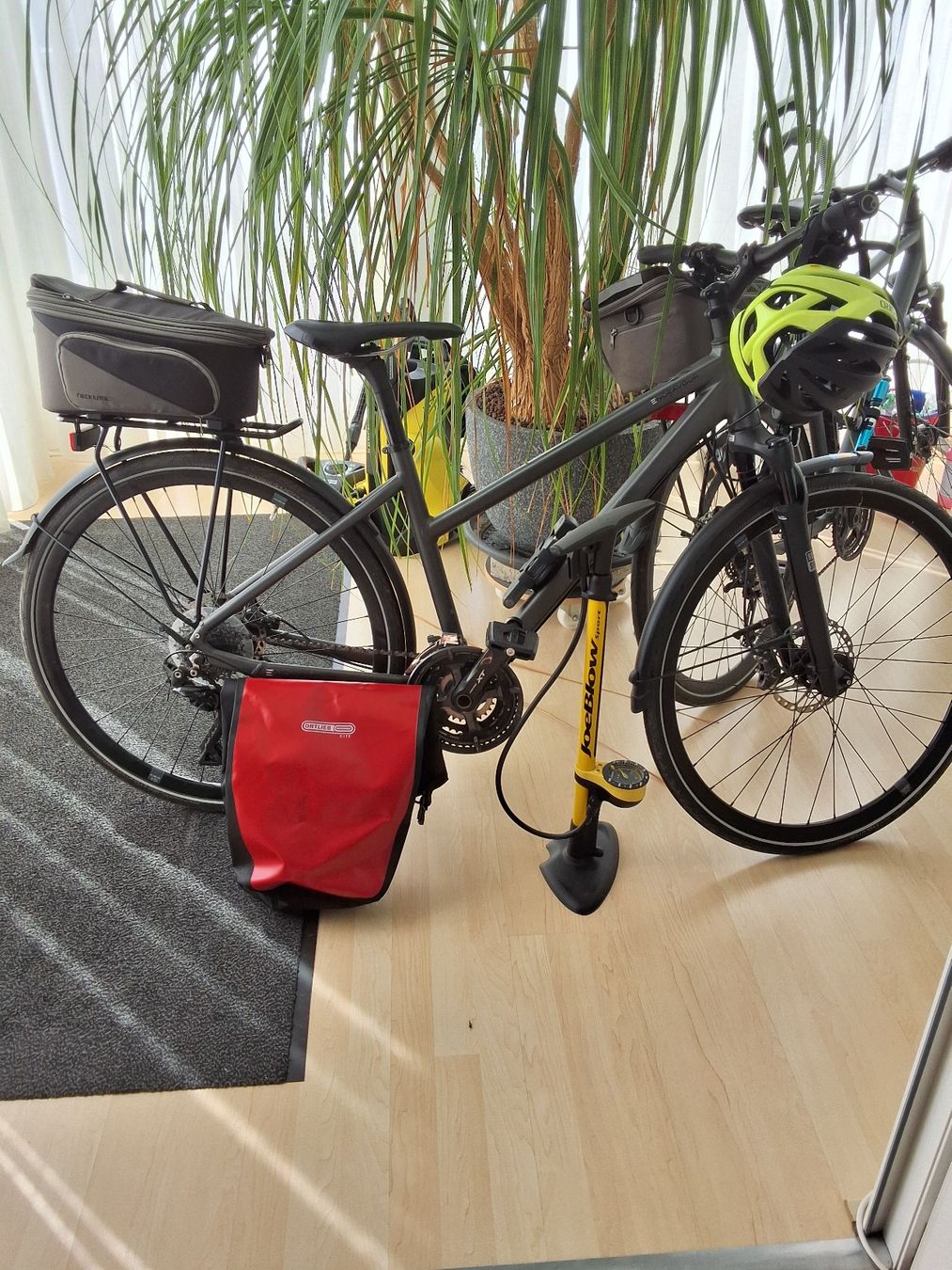 Kalkhoff Biciclette: Kalkhoff Velos – Usato da Zürich venduto da Schuscha02 2