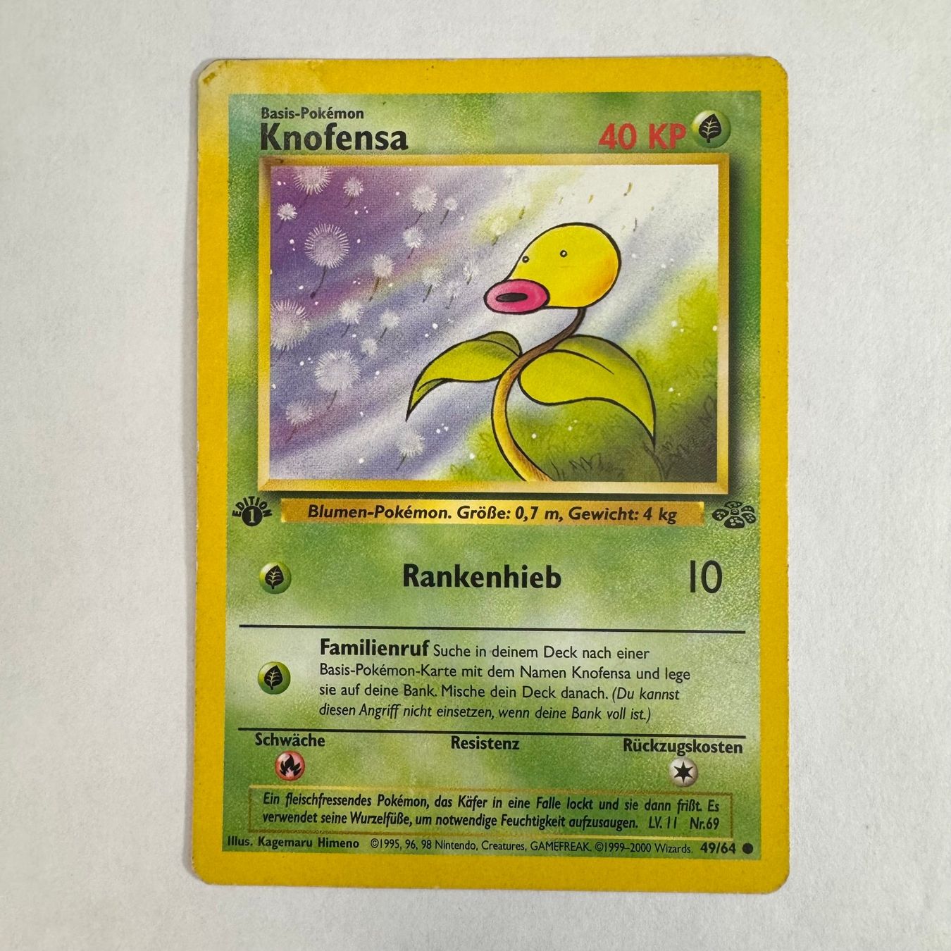 Pokémon Carte collezionabili: Pokémon Koffing - 64 / 49 - DE – Usato da Staad SG venduto da miaCards