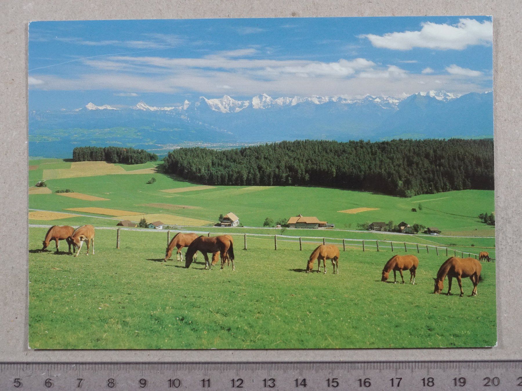Cartoline postali: Eiger, Mönch, Jungfrau, Pferde, Poststempel Oberdiessbach – Usato da Lenzburg venduto da fh1