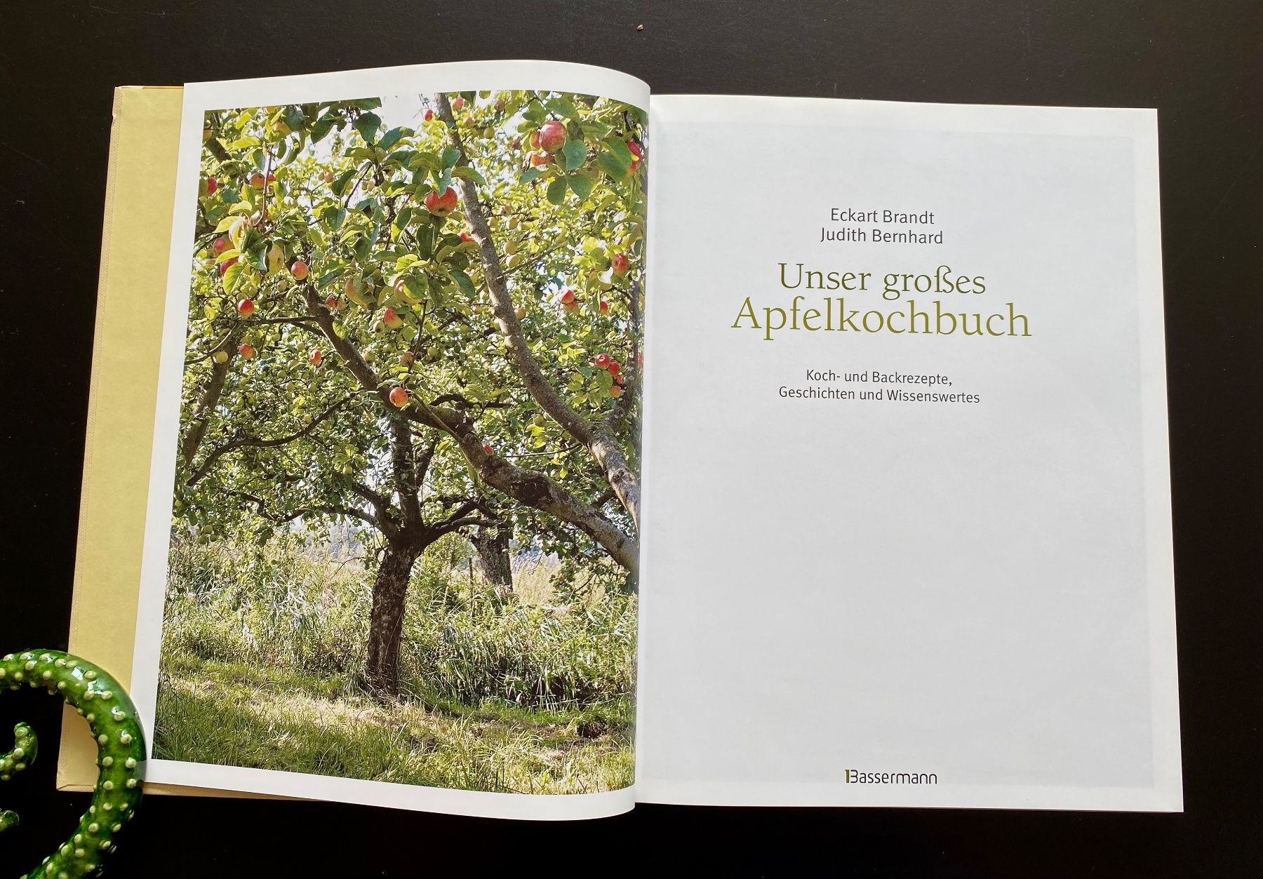 Libri: Unser grosses Apfelkochbuch – Usato da Nussbaumen AG venduto da schuba2000 2