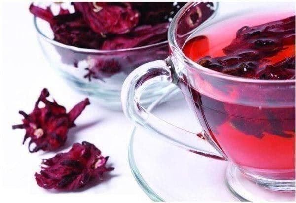 Piante & sementi: Hibiscus Sabdariffa var. Green Senegal – Nuovo (secondo la descrizione) da Bremblens venduto da FIBONACCI369 2
