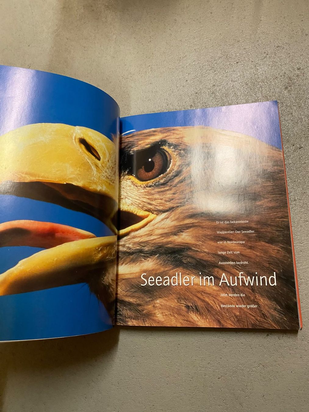 Libri: Expedition ins Tierreich Buch – Usato da Zürich venduto da luc_z8d5 1