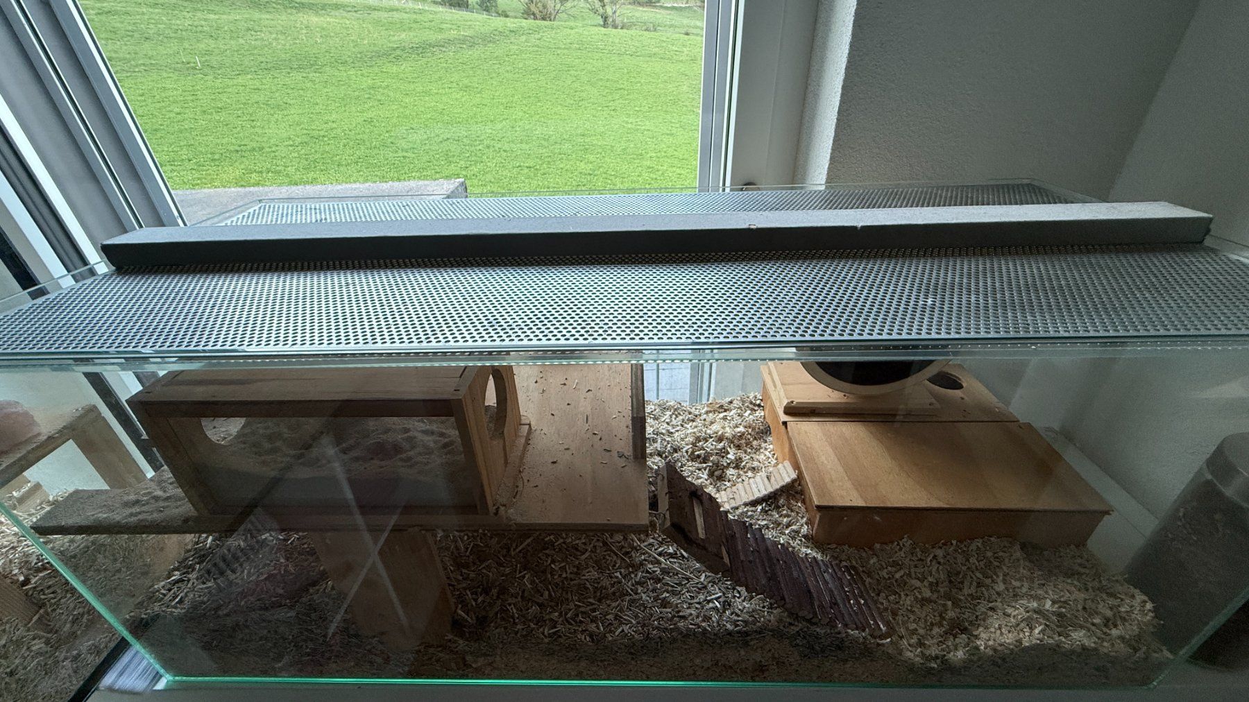 Terrario: Glasterrarium für Hamster – Usato da Rüthi (Rheintal) venduto da Foxy25 1