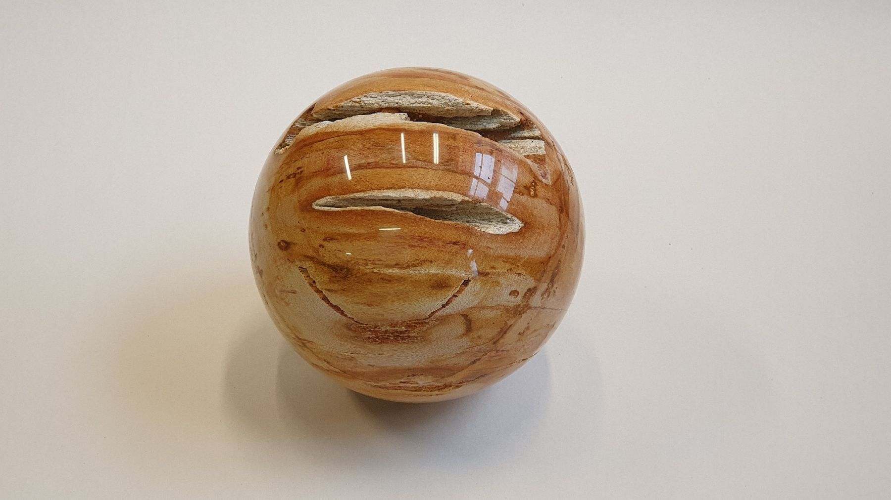 Mineralien & Heilsteine: Versteinertes Holz, polierte Kugel 140 mm – Neu (gemäss Beschreibung) aus Dürnten von stefanverkauft 1
