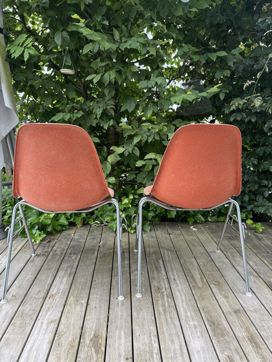 Herman Miller Sedie: Eames Fiberglass Side Chair DSX – Usato da Basel venduto da LemmyS 3