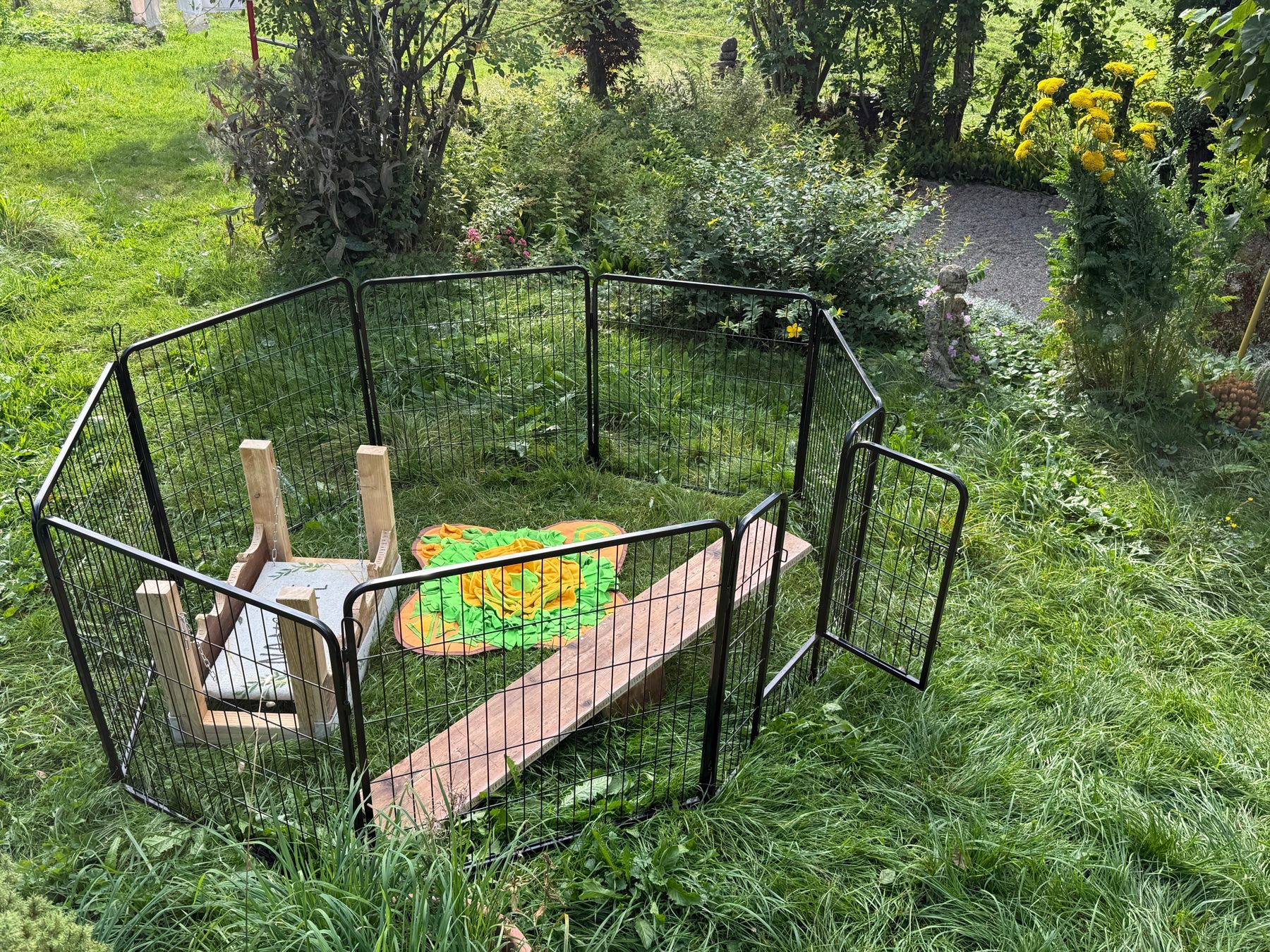 Niches, paniers: Welpen-Set – D'occasion à Ebnat-Kappel par anitasteiner 1