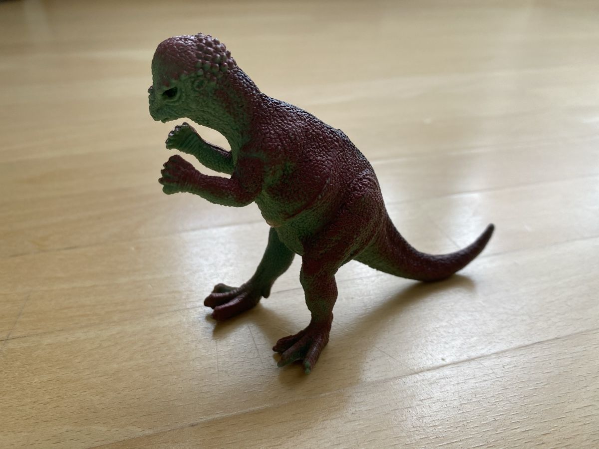 Jouets: Dino Figuren Set, verschiedene Saurier – D'occasion à Zürich par keinweiss 1