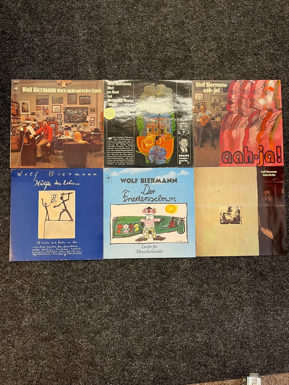 Dischi in vinile: Wolf Biermann Sammlung (6LP) – Usato da St.Gallen venduto da Out-take
