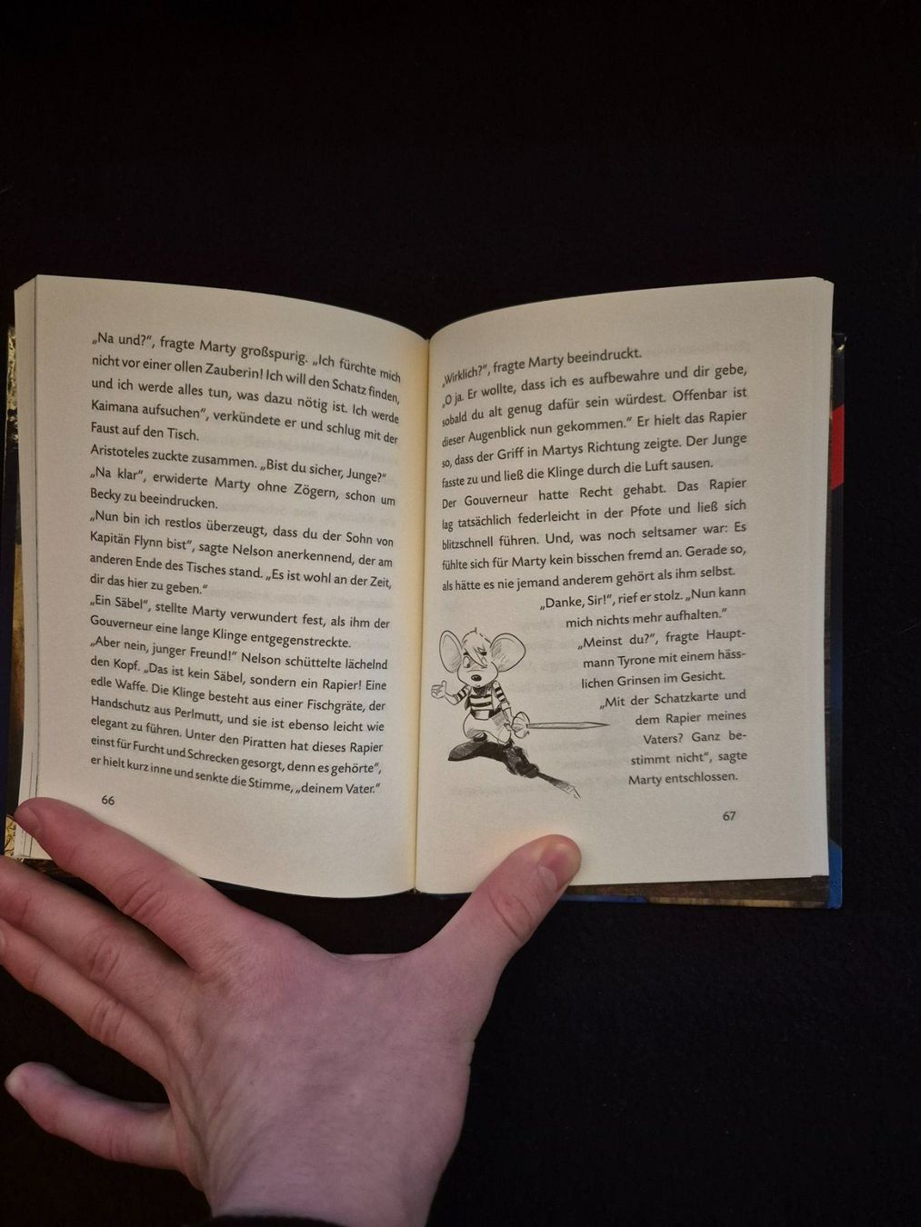 Libri: Jugendbücher-Set (2 Stück) – Usato da Winterthur venduto da Butzel 5