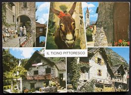 FOROGLIO