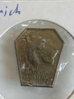 Antiker Sammel-Anstecker "Ich sammle Steinfels(I2)