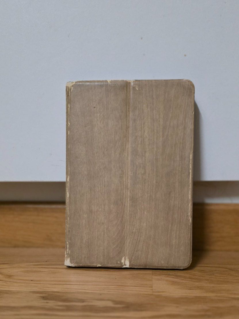 Apple Tablet PC: iPad Mini, gebraucht, funktioniert – Usato da Bern venduto da KavIndustries 2