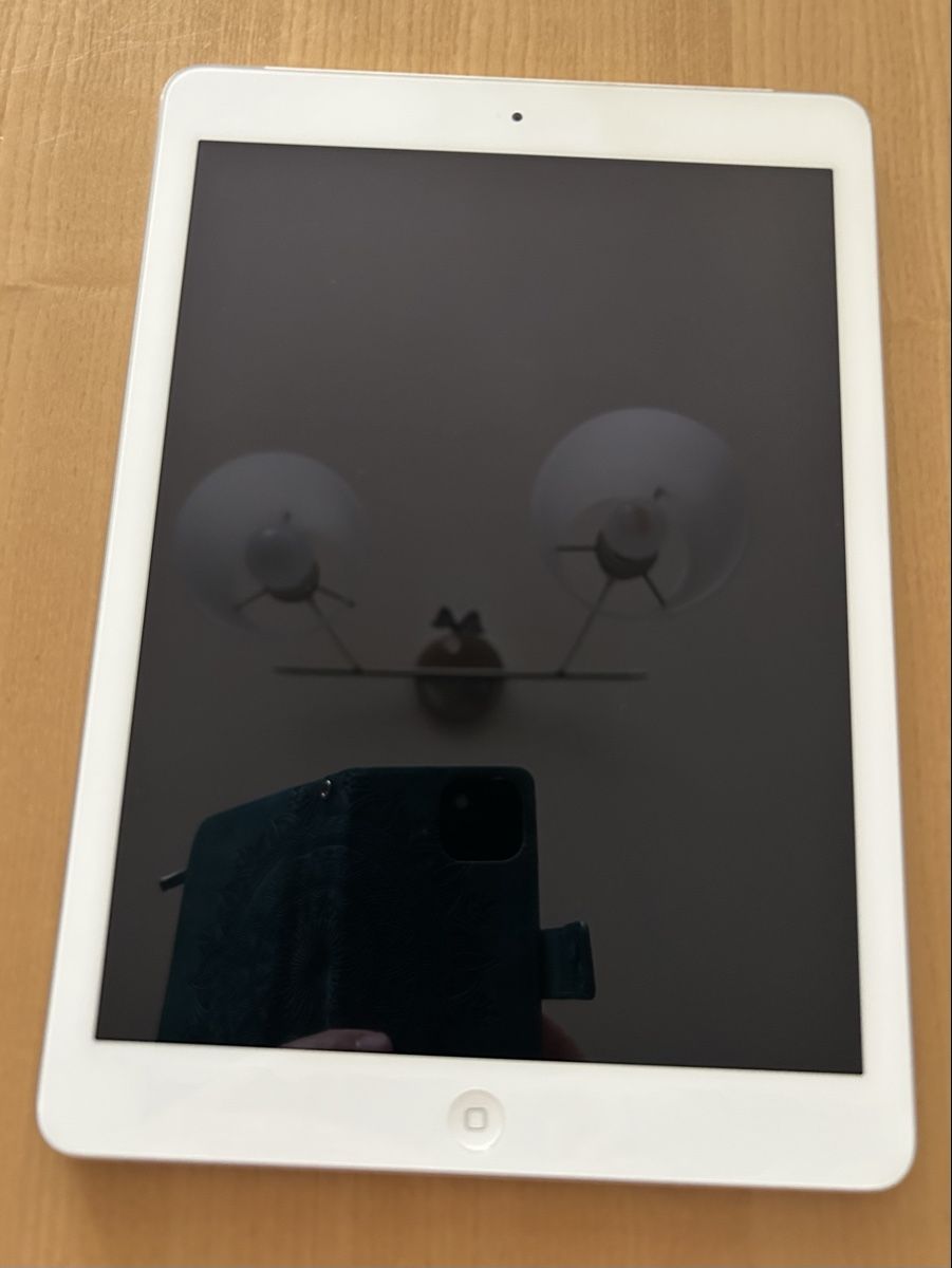 Apple Tablet PC: iPad Air  – Gebraucht aus Zug von nic_klq5 1