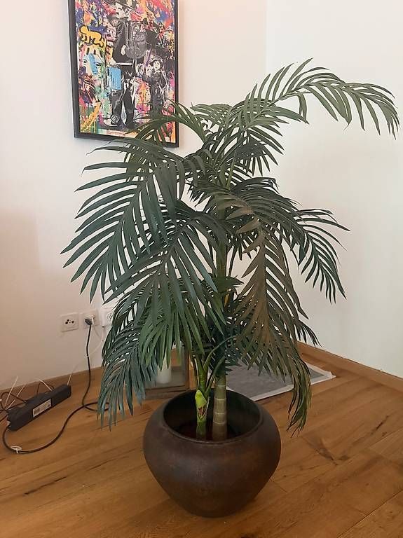 Pflanzen & Samen: Künstliche Palme mit Topf – Gebraucht aus Schlieren von sheila000