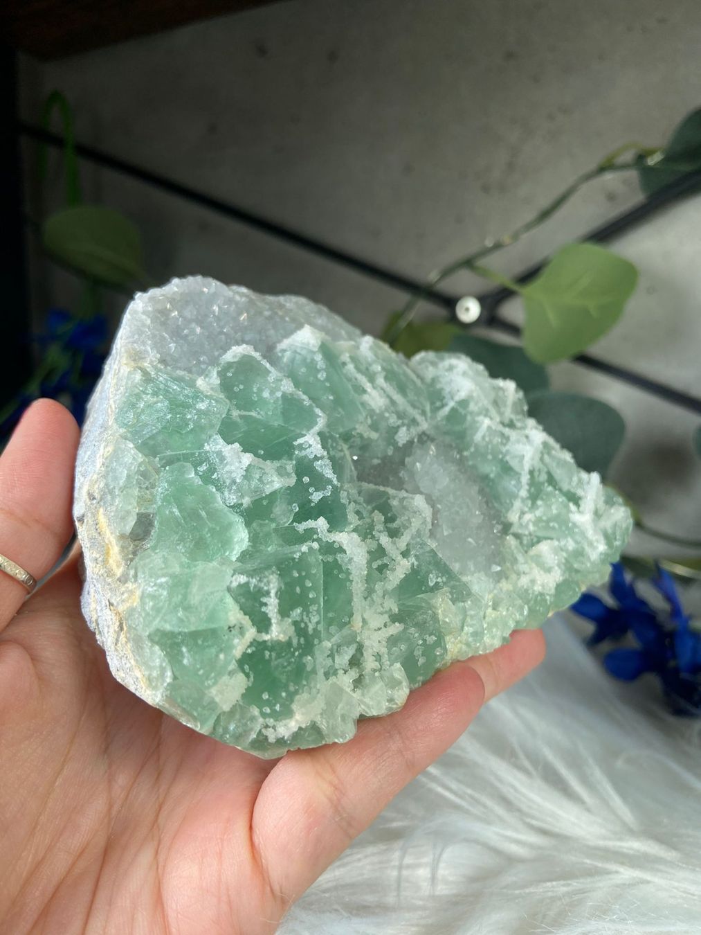 Pietre preziose: Grüner Fluorit – Nuovo (secondo la descrizione) da Neuheim venduto da m.hald 1