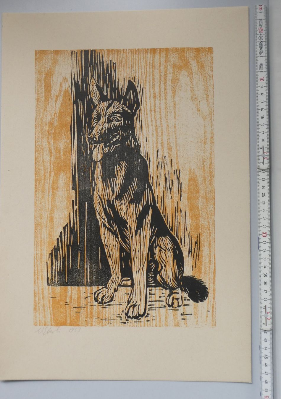 Grafica & Litografie: Lithografie Werner Eberli Gottlieben Thurgau Schäferhund – Usato da Frauenfeld venduto da Astra13 4