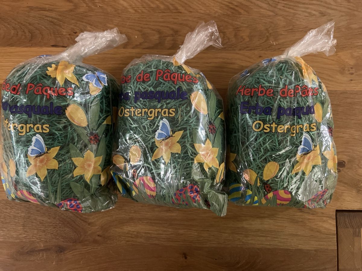 Tutte le decorazioni: Ostergras 3 Beutel neu Ovp – Nuovo e nell'imballaggio originale da Uznach venduto da Apuutze