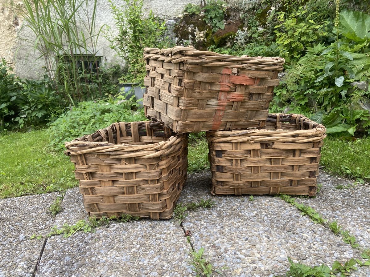 Autres articles pour la maison: Geflochtene NussbaumKorb – D'occasion à Seewen SO par Nordic-Old-Fashion