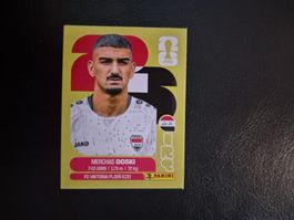 Panini WM 26 IRQ 6