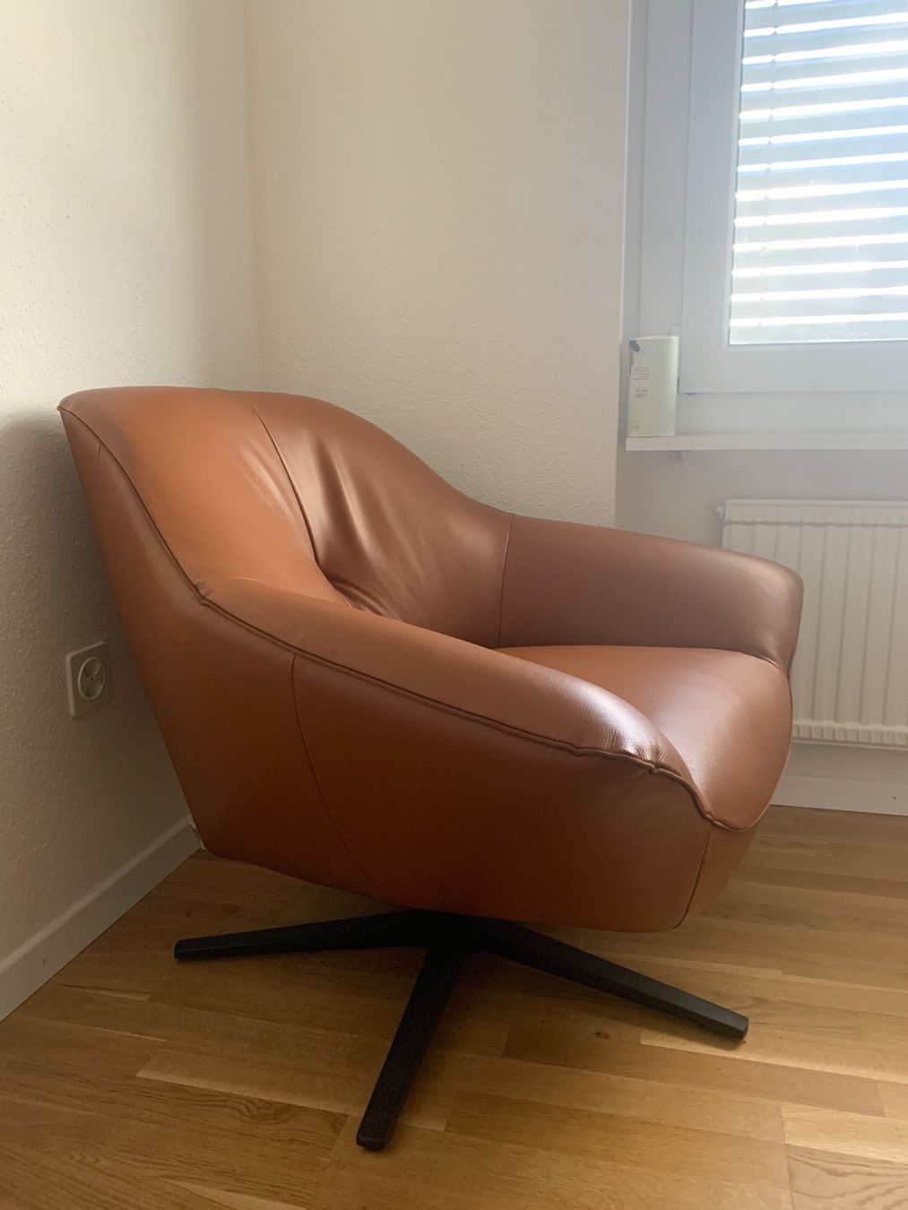 Poltrone: Ledersessel Schubiger möbel – Usato da Zürich venduto da iri_c5tz 2