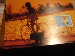 Lot Maximumkarten Sondermarken um 1985, 16 Belege