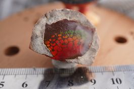 Chocolat Opal Nuss   62ct Einzelstück TOPSTONE