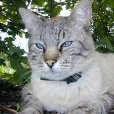 Profile image of Mucki