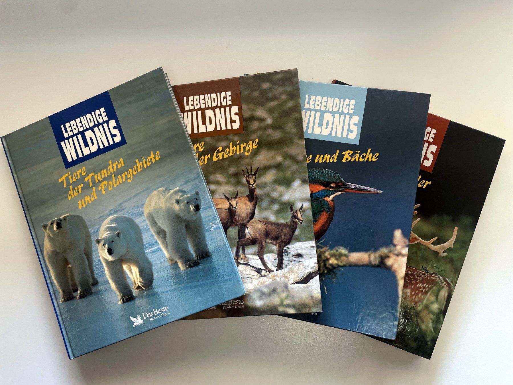 Livres: Lebendige Wildnis – D'occasion à Büren an der Aare par Qx7b 1