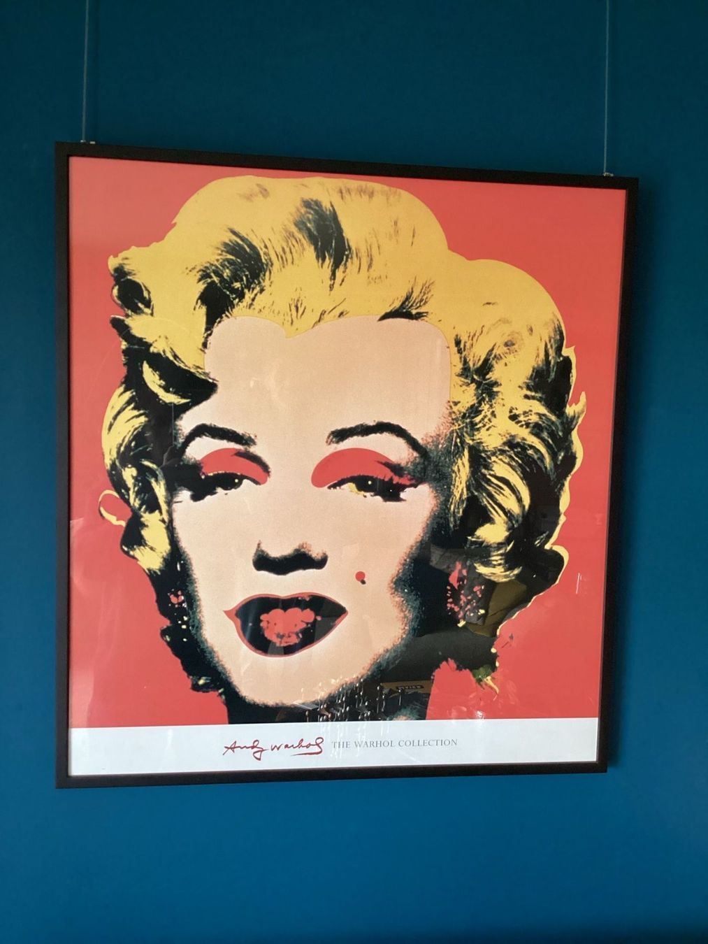 Foto & Immagini: Tableau Andy Warhol – Usato da Agiez venduto da Beve15 1