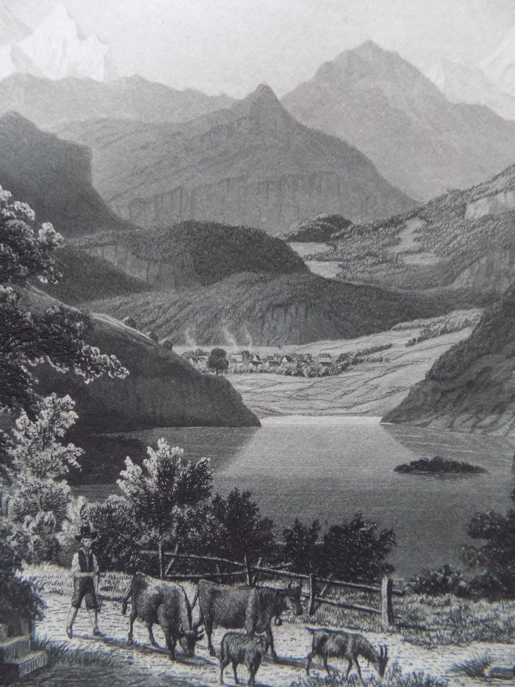 Incisioni: Lungernsee – Usato da Risch venduto da Rischli15 4