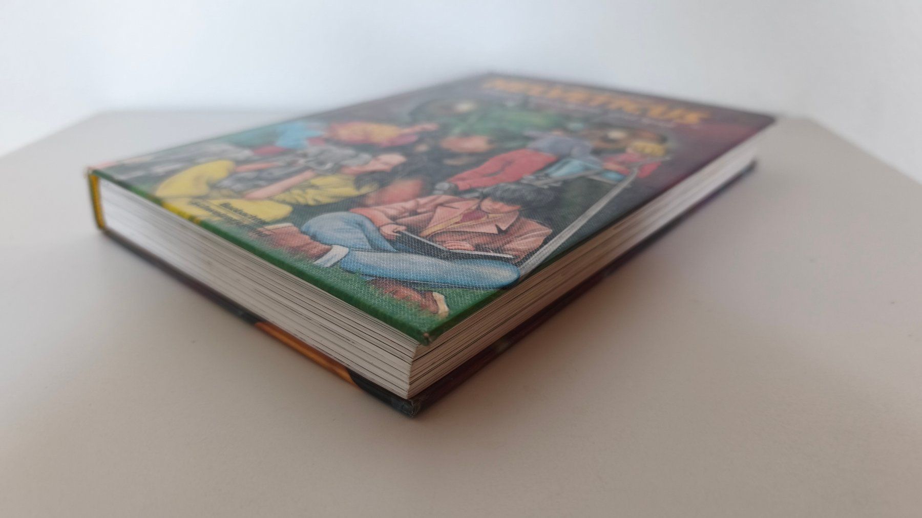 Libri: Helveticus Buch – Usato da Lenzburg venduto da Dani_Lenzburg 1