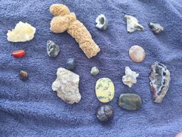 Mineralien- und Steine-Konvolut – 17 Stücke