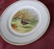 Zierteller Vogelmotiv handgemalt Durchmesser 24cm gebraucht