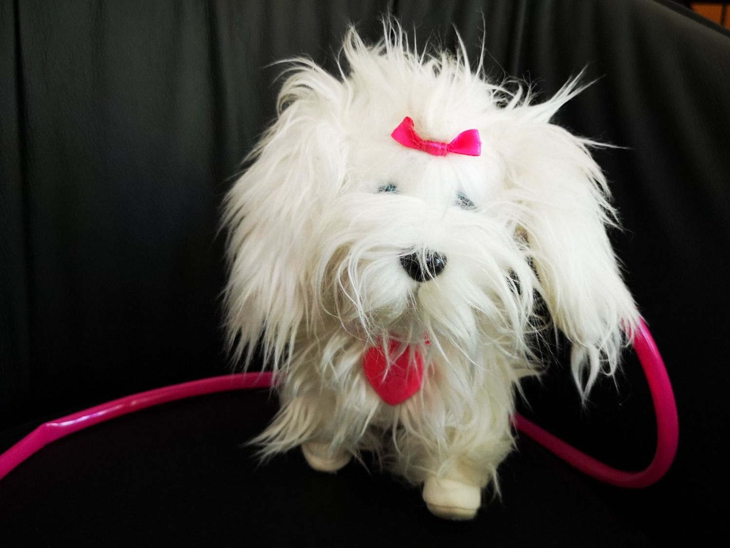 Giocattoli: FLUFFY von Animagic Toys – Usato da Liestal venduto da Gitterli01 4